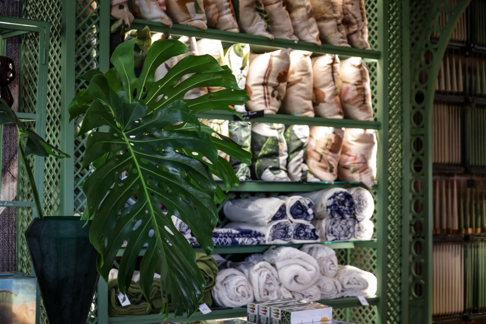 Interno di un negozio decorativo con scaffali verdi con cuscini, asciugamani arrotolati e grandi piante in primo piano.