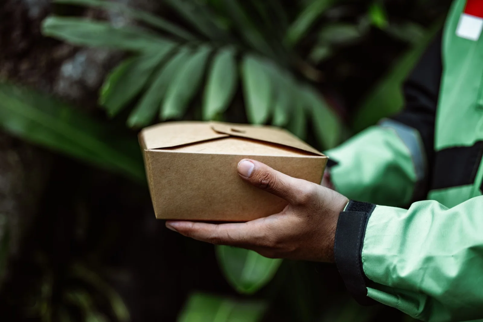 Manos sosteniendo una caja de comida ecológica de cartón al aire libre, concepto de entrega sostenible.