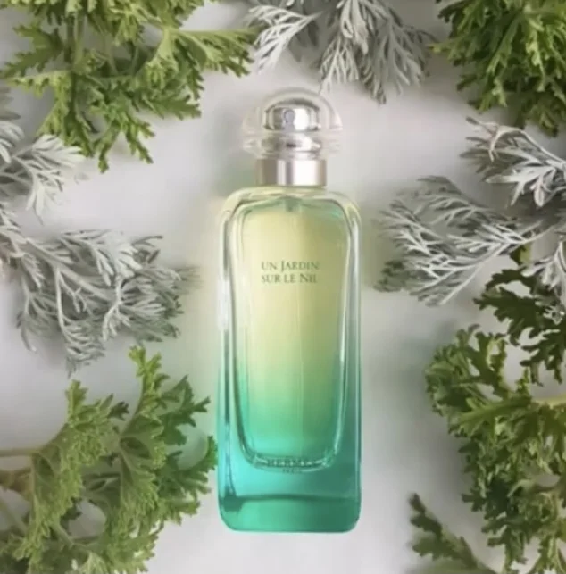 Konzeptuelles Foto der Parfümflasche Un Jardin sur le Nil von Hermès, umgeben von grünen und grauen Blättern.