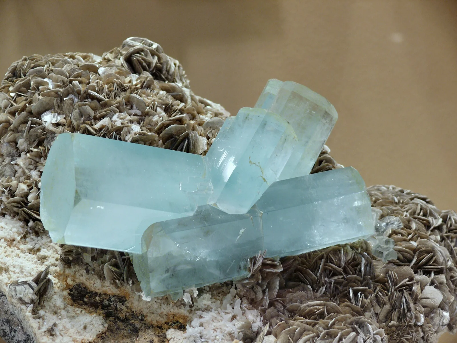 Blau-grüne Aquamarin-Kristalle auf einem Hintergrund aus braunem Muskovitmica.