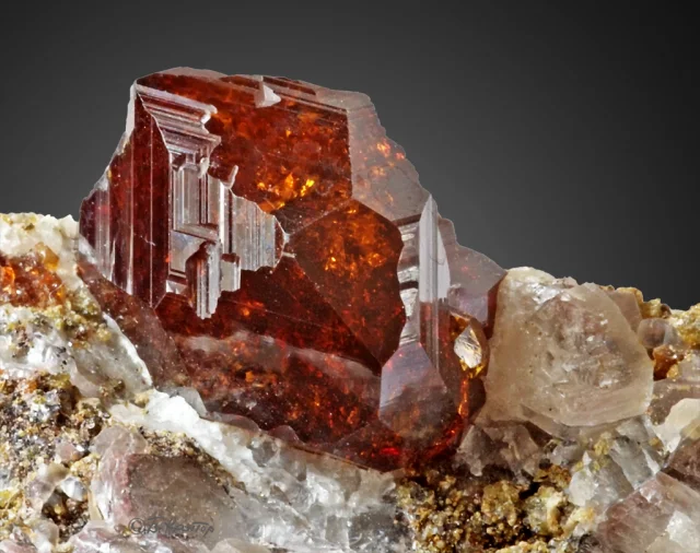 Cristal de grenat rouge-brun facetté posé sur une matrice rocheuse claire sur fond neutre.